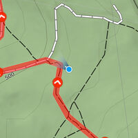 Zwecks Veranschaulichung der GPS-Ungenauigkeit im dichten Wald siehe hier den Standort des folgenden Fotos: