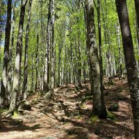 Anstieg zum Hirschenstein