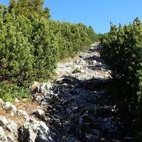 Aufstieg auf der Stadelwandleiten