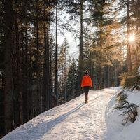 Ein schöner Tag auf Schneeschuhen geht zu Ende im Naturpark Sölktäler
