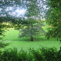 Stellerskuppenweg 15