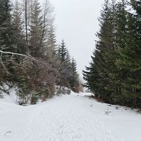 schöne Stimmung