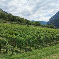 Miralago - Tirano