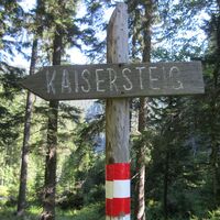 Hinternaßwald - Grenzriegel - Amaißbichl
