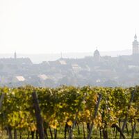 Weinwanderweg