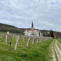 Schloss Gumpoldskirchen (Tagungszentrum) und Pfarrkirche