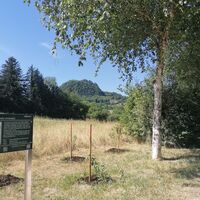 Schautafel mit Hohentwielblick