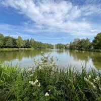 Blick auf den Jägersburger Schlossweiher