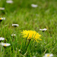 Im Erlebnisgarten der Ems-Erlebniswelt in Schloß Holte-Stukenbrock