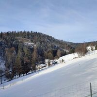 Rückblick in Tiessenbachtal