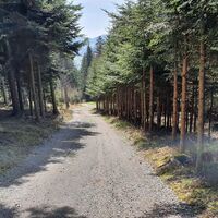 28.4 km Der steile Downhill nach Ried