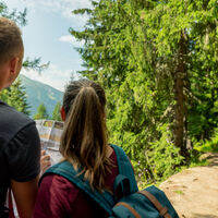 Orientierung auf Wanderschaft