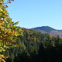 Blick auf den Ohlenkopf