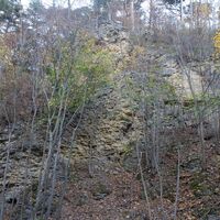 Abstieg am unmarkierten Steig im "Langen Tal"