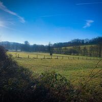 Hanfbachtal