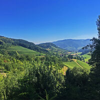 Aussicht ins Renchtal bei Hesselbach