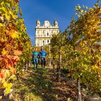 Weinberge in Tresivio