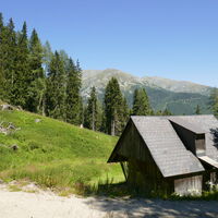 kurz vorm Kranzwald komm ich bei der kleinen Hütte vorbei, dann gehts direkt durch den Wald zur Forststraße