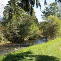 Pfad an der Leitzach