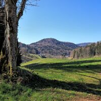 Ausblick oberhalb der Siedlung Aschenhütte