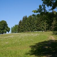 Wue4 17052020 20 Wolfram Linnebach