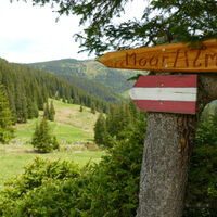 weiter gehts zur Moaralm