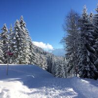 Winterwandern auf dem Kristberg