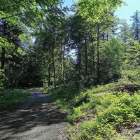 Weg auf den Hittisberg