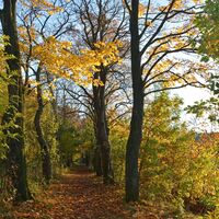 Ohrdruf Herbst am Weißen Weg