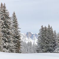 Unterwegs in der Schneeschuh-Arena Prättigau