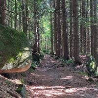 Abstieg über den Witikosteig nach Lackenhäuser