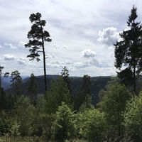 Aussicht auf die Windenergieräder vom Wolftal