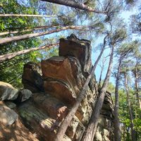 Vorderer Rappenkopf am Rodalber Felsenwanderweg