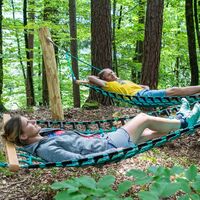 Slow Trail - Schaukelweg - Hängematten im Wald