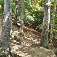 Rückweg zur Station Bellavista