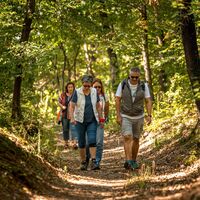 Genusswandertag Baumgarten1