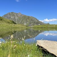 Wollgras am Hacklsee – Idyllische Bergkulisse
