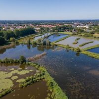 Rietberger Fischteiche 