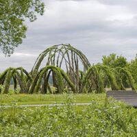 Weidenbau