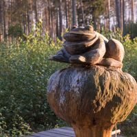 Moorfrosch im Pöllwitzer Wald