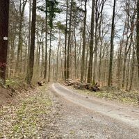 Schotterpisten im Frühling