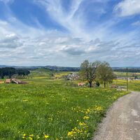 Frühling im Westallgäu