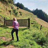 Bei dem Tor beginnt die Weide