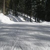 Wechsel-Panoramaloipe