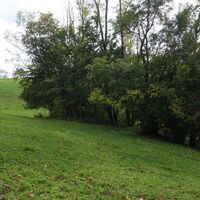 Aufstieg zum Gehöft Schwarzkogel