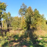 13.5 km Rechts in Karrenweg