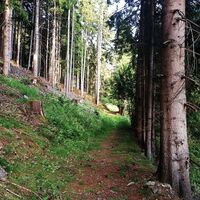 Gföllweg Untertaler Aussichtsrunde