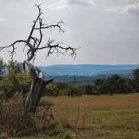 Auf der Höhe bei Spessart