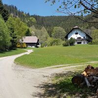 14.5 km Forstgut Eisenpass