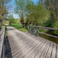 Krummes_Wasser_Bruecke_mit_Rad